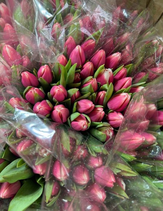 Тюльпаны на 8марта опт,розница