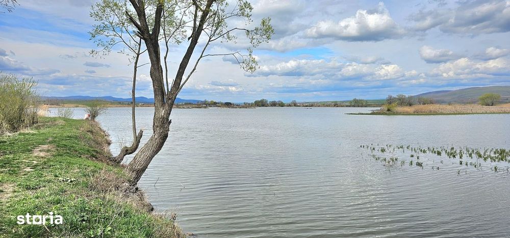 Teren Rotbav str. Ștefan cel Mare – 3668 mp, intravilan