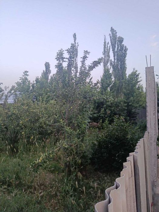 Bo'stonliq tumani, Soyliq qishlog'ida yer sotiladi