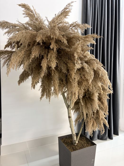 Aranjament decorativ cu Pampas Natural