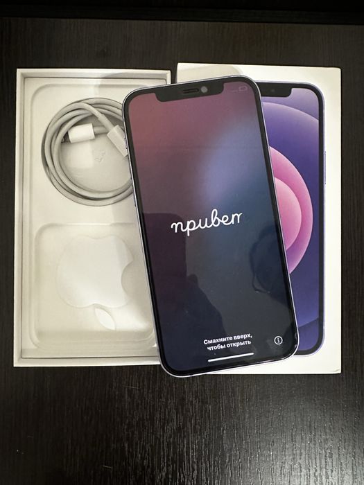 iPhone 12 Purple