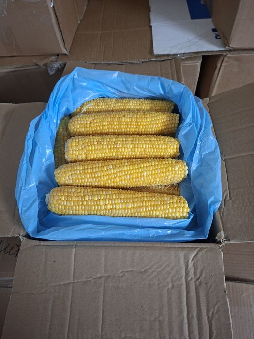 Кукуруза оптом сладкая
