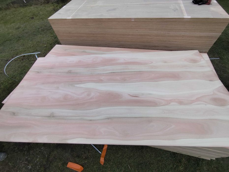 Vand placaj multistrat de fag