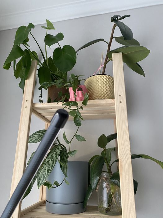 Стеллаж с растениями