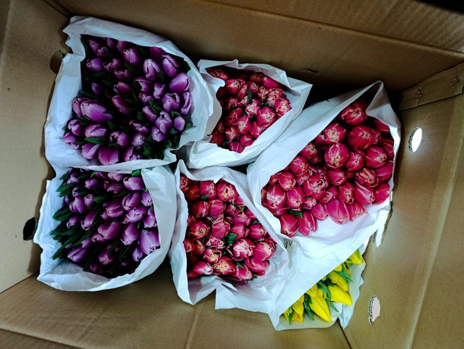 Тюльпаны в розницу доставка самовывоз