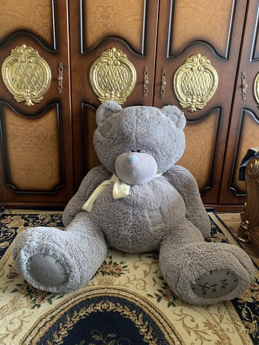 Teddy teddi ayiq