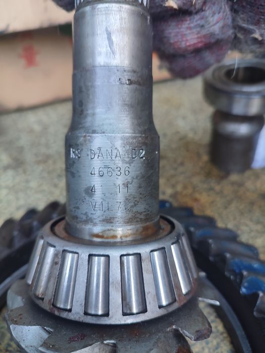 Главная пара дана44