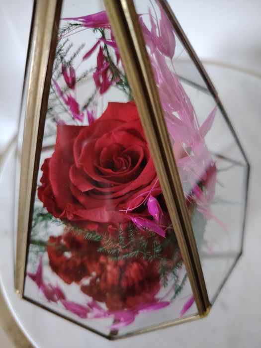Trandafir Roșu Criogenat în Terariu de Sticlă – Cadou Elegant Premium
