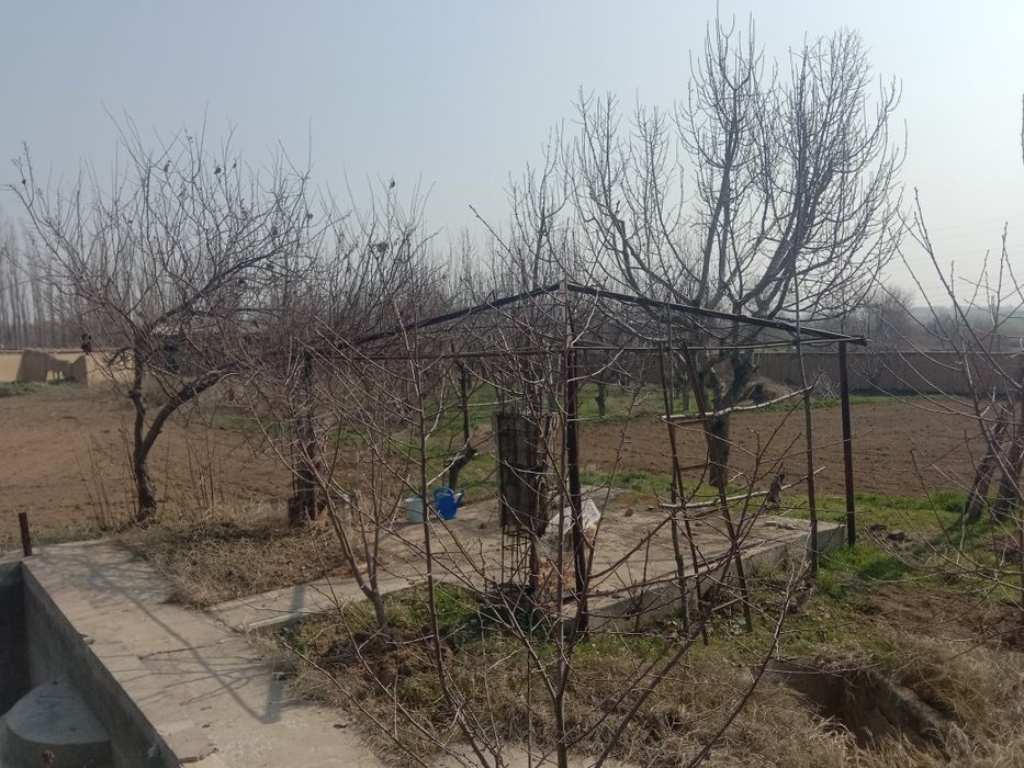 Котта кон Уй сотилади 68 сотих