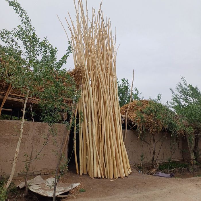 Qora tol Xada  kimda bor.