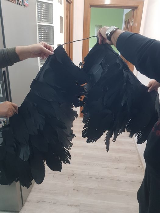 Aripi inger negru/ recuzita