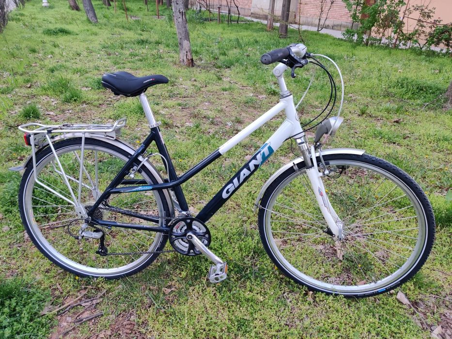 Bicicleta  Giant Freerider