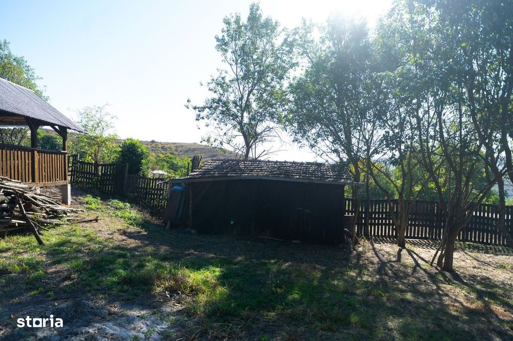 Teren Parcelabil I 11400 MP I Corpadea