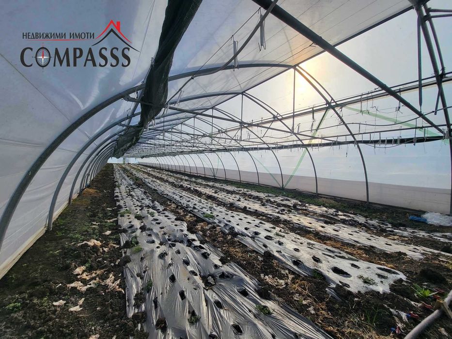 Продава се Склад в с. Генерал Колево, Област Добрич - 13000 кв.м за 20 €/кв.м - Снимка #6