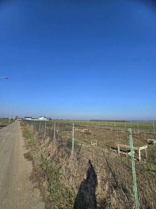 Terenuri de vanzare - Ilfov, Copaceni