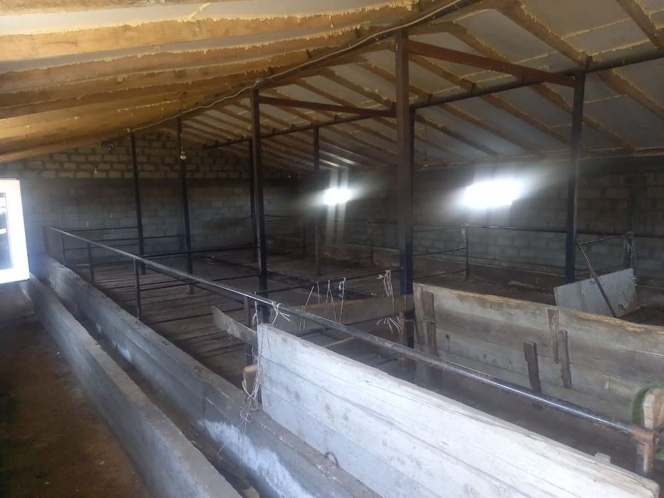 Крестьянское хозяйство