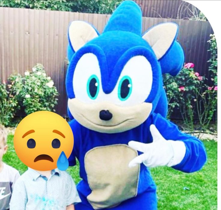 Mascota sonic cap de sonic