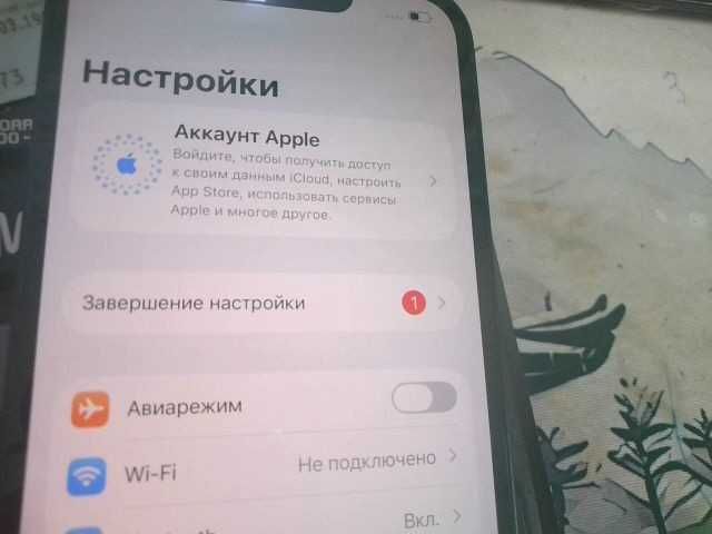 Apple iPhone 13  казыгурт 101