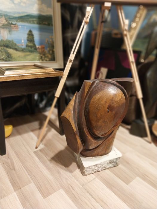 Operă sculptată - Emilian Nuțu