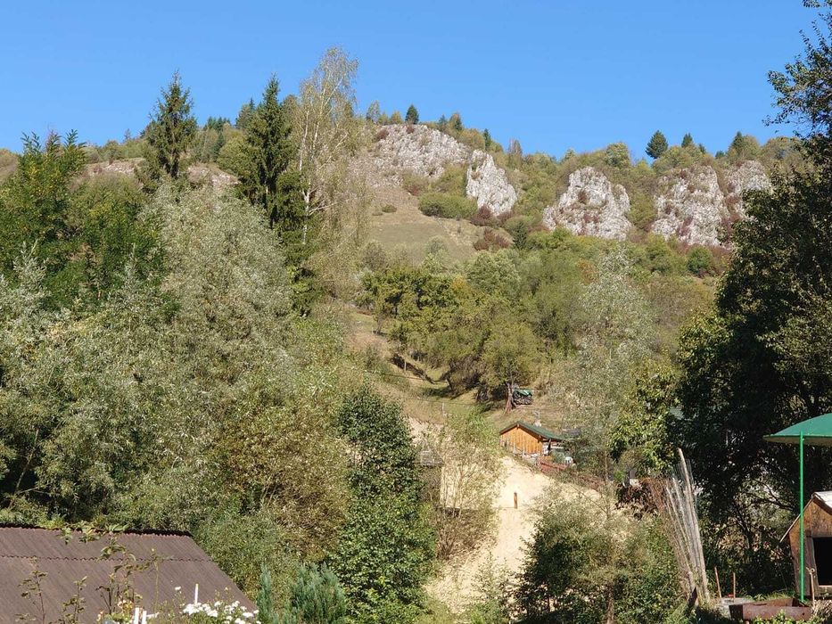 Teren de vanzare