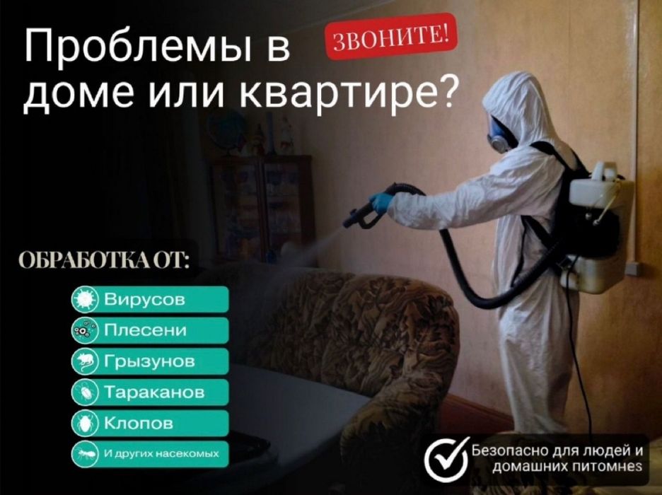 Дезинфекция от насекомых