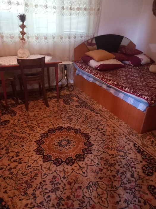 Vand casa în com. Bălești, sat Cornestii Noi