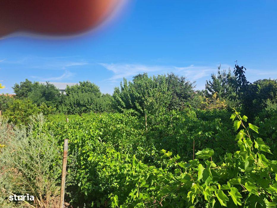 Casă localitatea CHISCANI / BRĂILA