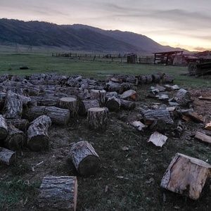 Древесина лиственница с. Маркаколь