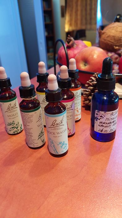 Suport emoțional cu Remedii Florale Bach