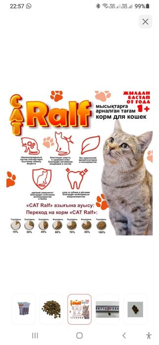 Корм сухой  для кошек