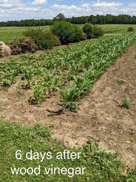 ПРОИЗВЕЖДАМ ОРГАНИЧЕН ДЪРВЕН ОЦЕТ ( Wood Vinegar) - тор за наторяване