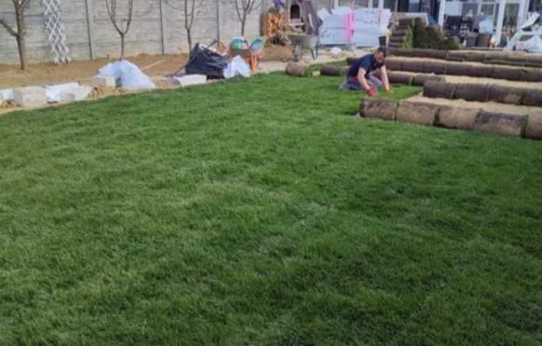 Gazon Verde la Cheie – Plată la Livrare, Lucrare Curată