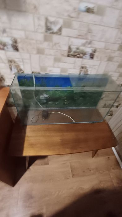 Продам аквариумы