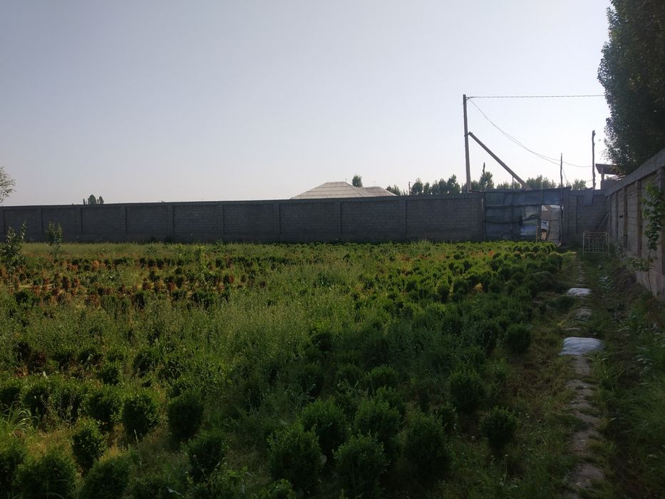 Ер сотилади 6000.