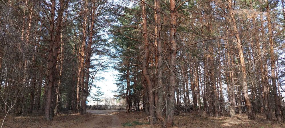 Продам участок земли