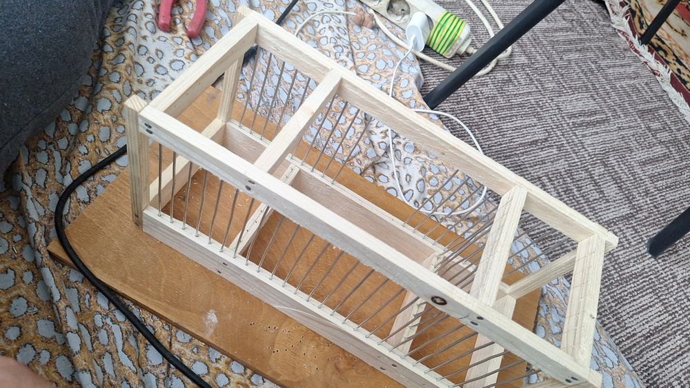 Colivi si prinzatori