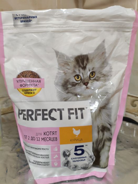 Отдам Котёнка девочку