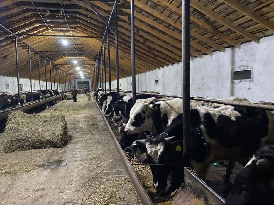 Продам Крестьянское хозяйство
