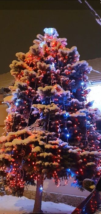 Vând instalații led de Crăciun profesionale