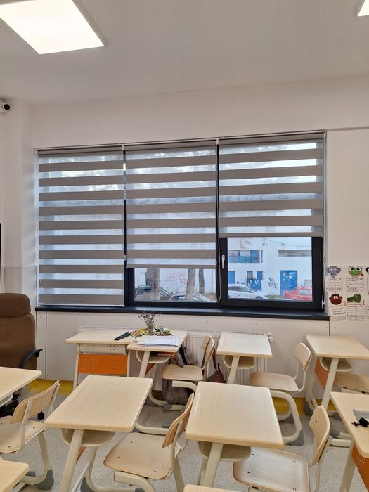 Jaluzele Rolete/Rulouri Plase Insecte