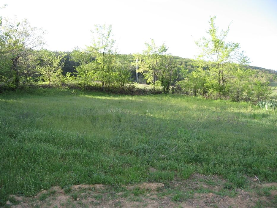 Продава се Къща в с. Главан, Област Стара Загора - 80 кв.м за 204 €/кв.м - Снимка #4