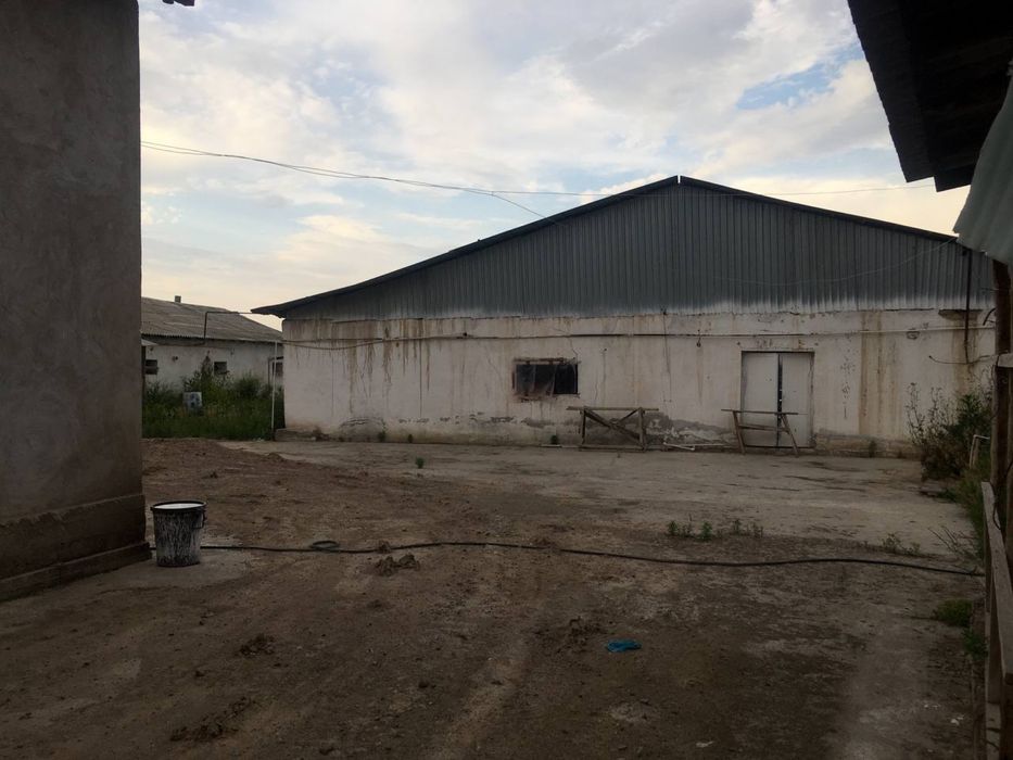 Товук ферма сотилади