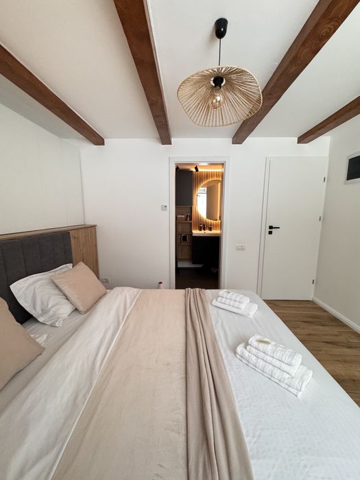 Cabana de inchiriat Muntele  Baisorii•Buscat•Jacuzzi •4 dormitoare