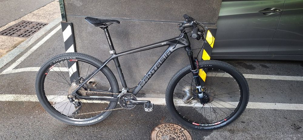 Карбоновый MTB Elfama Fantasia S7