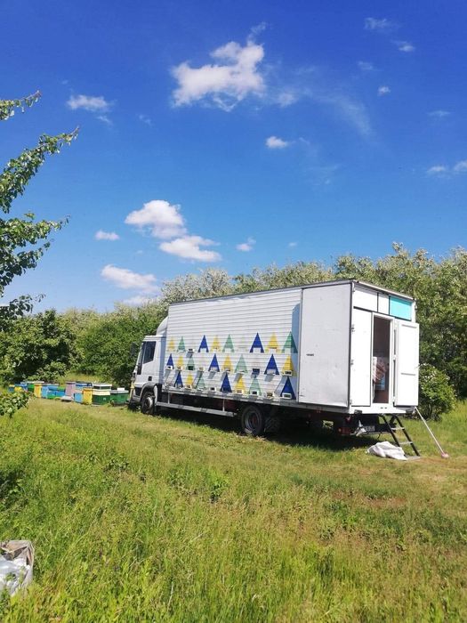 Miere 100% naturală - miere de tei, salcâm și polifloră