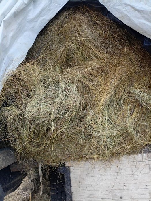 Baloți rotunzi de vânzare