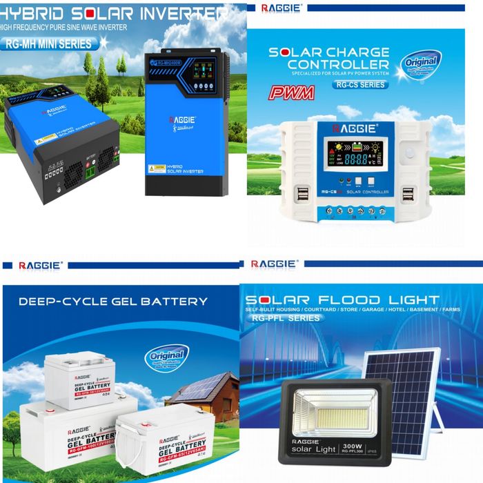 Raggie,Growatt-Inverter(инвертор)