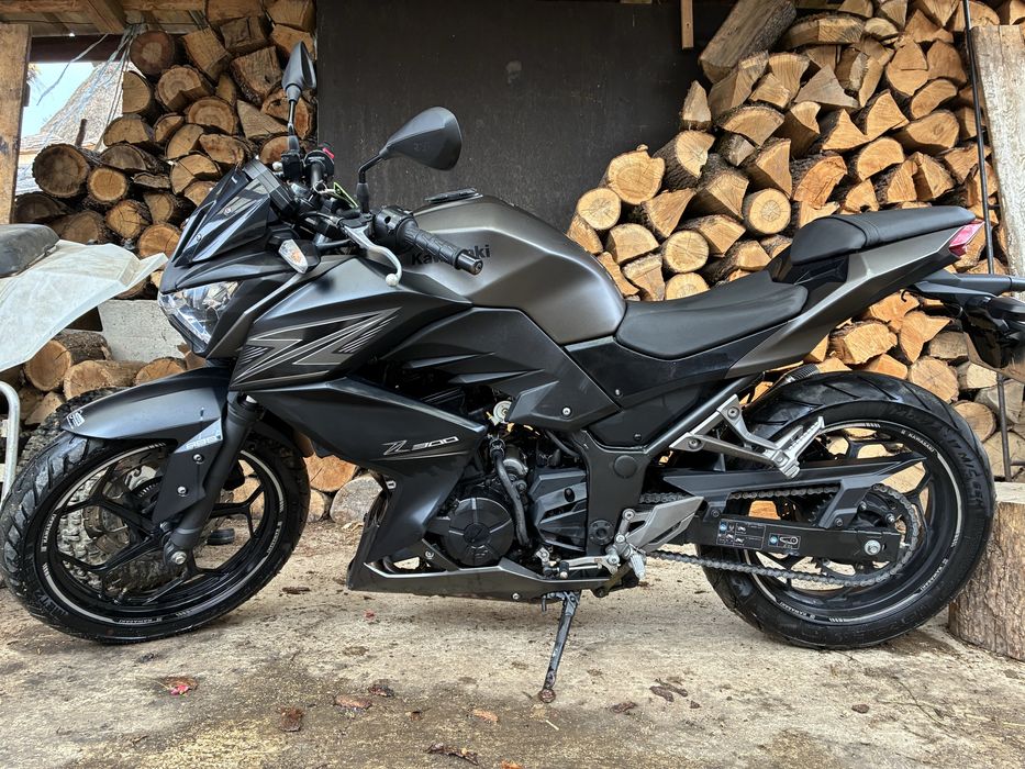 Kawasaki Z300r A2