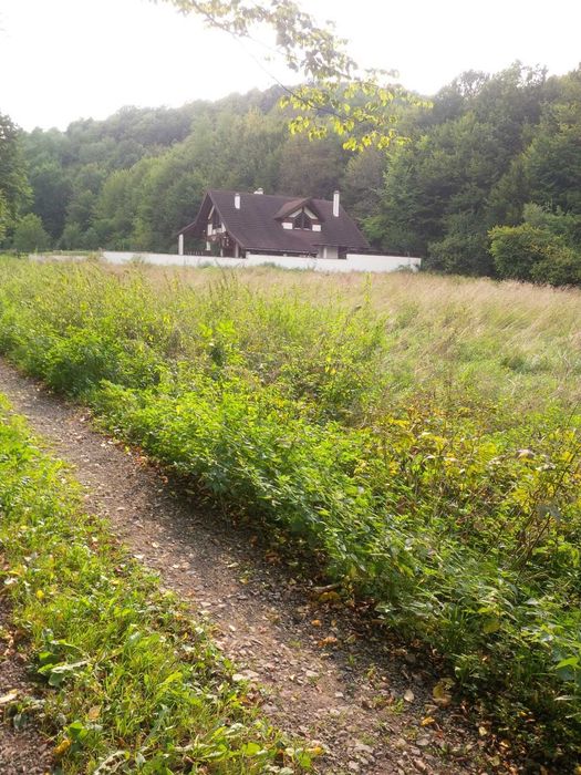 Teren de vânzare in Brad 4000 m2