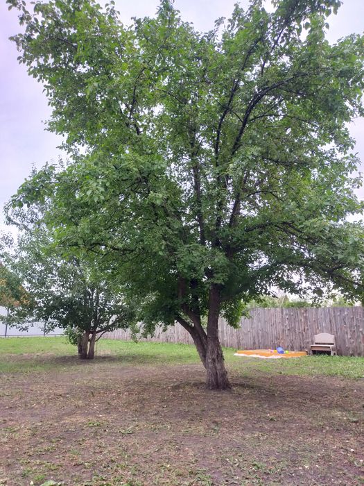 Сдам беседку в городе.(Наримановка)